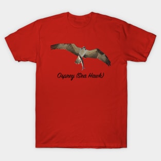 Ospray Sea Hawk The Bird of Prey T-Shirt